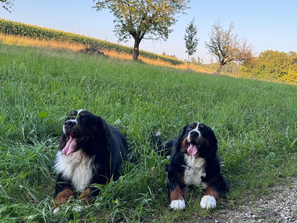 Des bébés attendus début octobre 2025